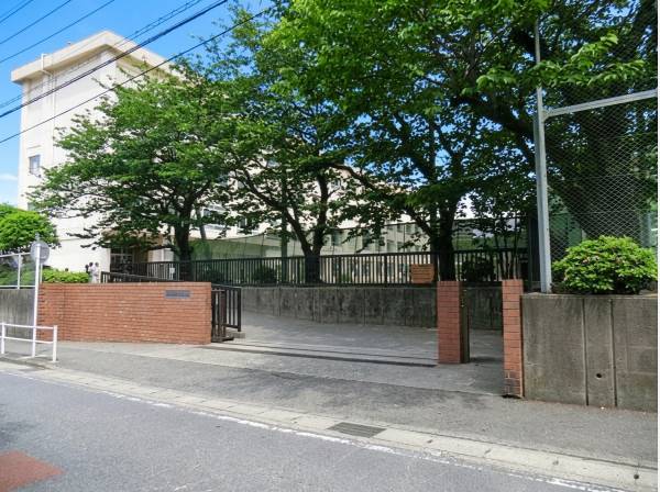 藤沢市立新林小学校まで約1119ｍ