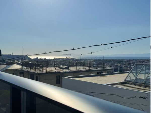 キラリと光水面に癒されます