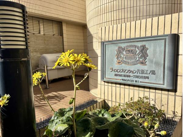 ”ライオンズマンション片瀬江ノ島”