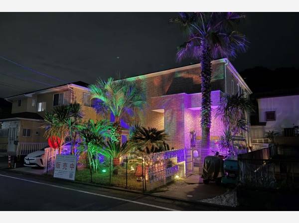 夜になるとライトアップされ、非日常空間が広がります