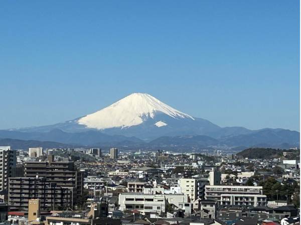 お部屋からの眺望です！