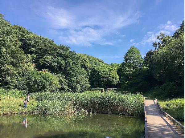 新林公園まで徒歩2分（約120m）