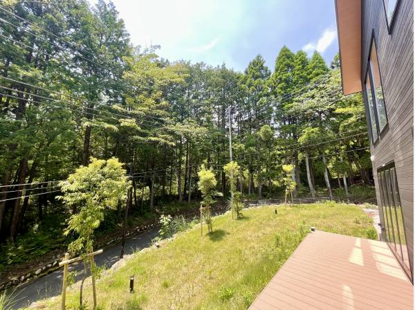 箱根の色鮮やかな緑を望むことができます