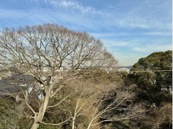 緑豊かな自然風景が望めます。