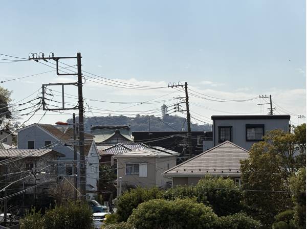 江の島が見えますよ。