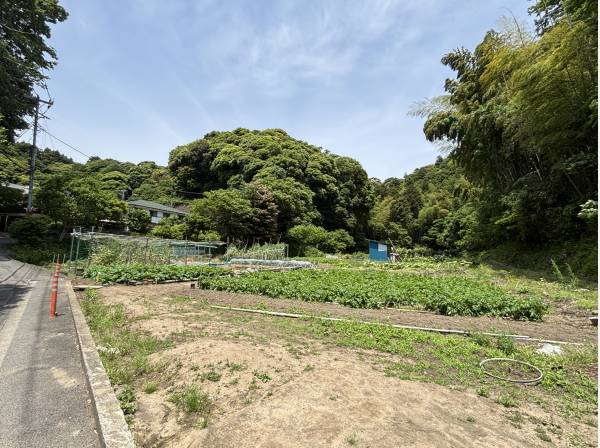 すぐそばには畑も残ります(約90ｍ)