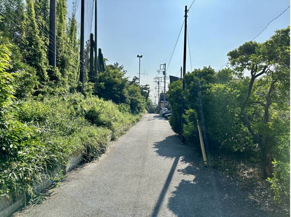 前面道路は南側公道約4m/右側が対象地、左側はゴルフ場