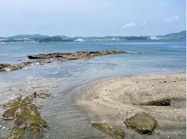 潮の引いた時間帯は小さな砂地も現れ、ちょっとした磯遊びもできそうですね