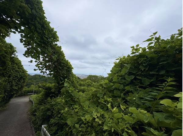 当物件へ向かう道中撮影
湘南の海を望めます