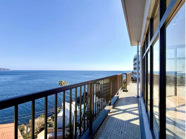 視界に電線一つかからない眺望です