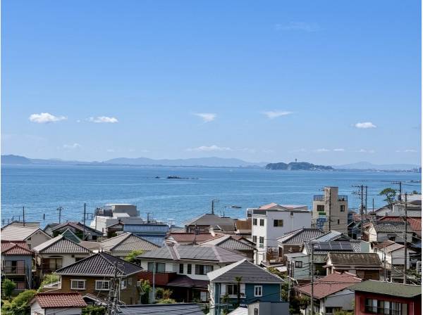 リビングからの眺望