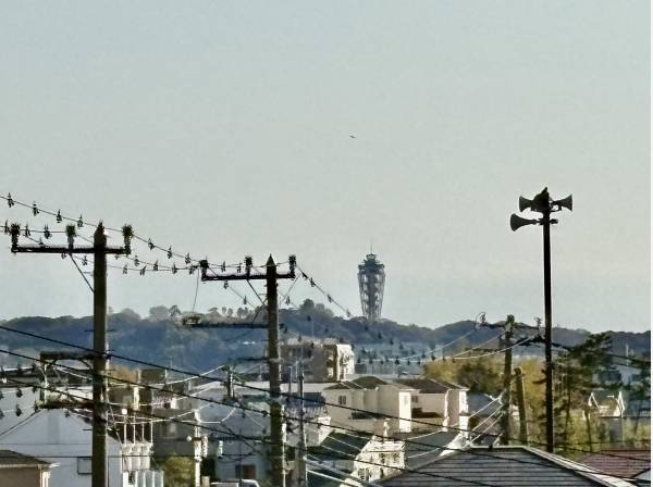 ルーフバルコニーからは江の島の灯台が見えますよ！