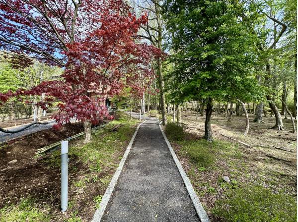 敷地から建物まで続く小路/建物までお車でアクセスできる通路もございます