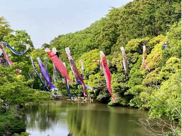 鎌倉中央公園まで歩いて６分。豊かな緑が残る公園が背後に広がる環境(約450ｍ)