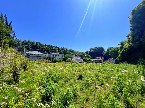 景色もとても良いです