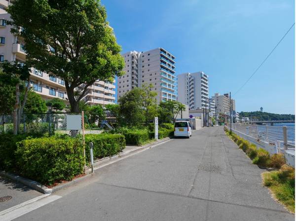 すばな通りと反対側には清らかな境川が寄り添います