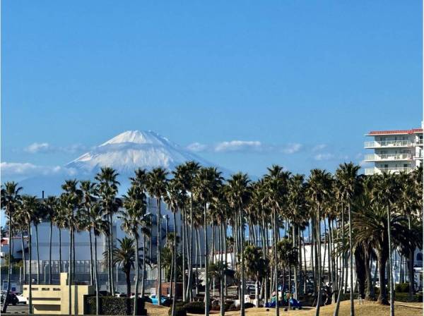マリーナ越しに天気が良ければ富士山が