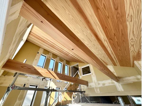 秋田杉を使用した板張りの天井