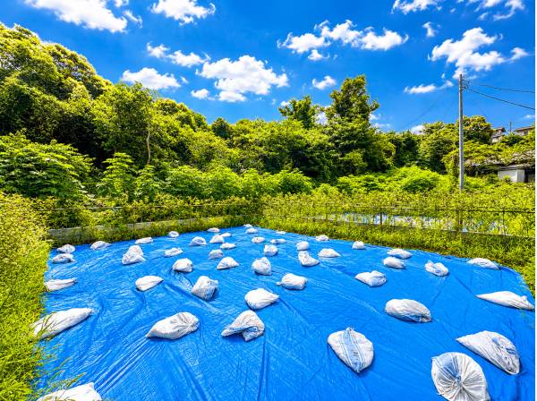 敷地奥には豊かな緑が広がり、四季を身近に感じられる住環境です。