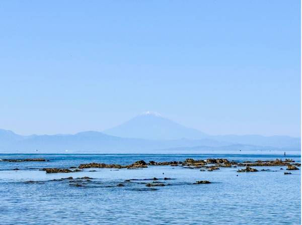 空気の澄んだ日には海岸より富士山を望みます