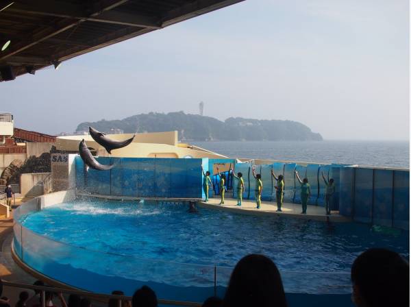 新江ノ島水族館まで徒歩10分 (約800ｍ)