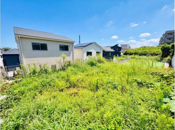 草が生えていますがお手入れをすれば、もちろん綺麗に！