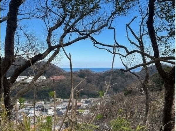 少し歩けば葉山の緑豊かな自然の先に美しい海！