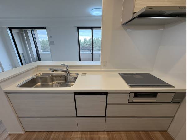 新規交換されたシステムキッチン