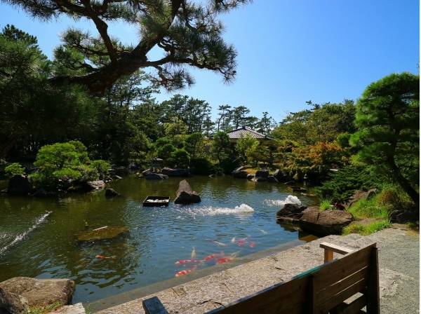 葉山しおさい公園まで自転車6分（約1.3㎞）