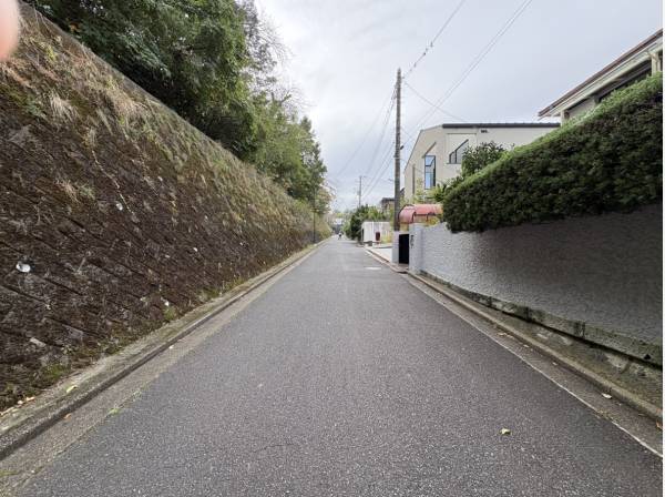 前面道路は幅員約5ｍ。周囲の緑も魅力です。