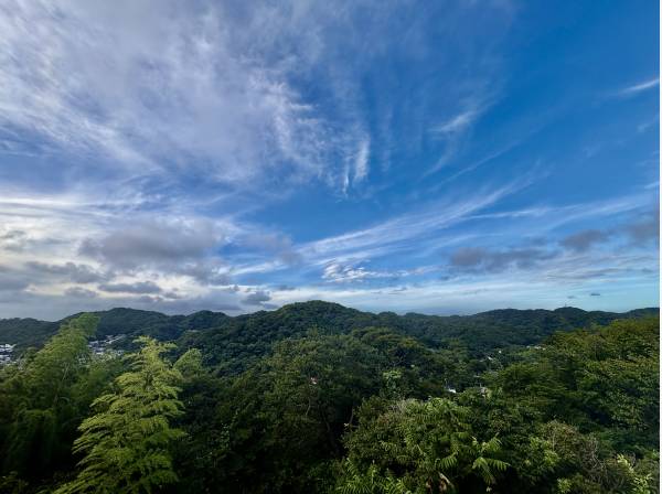 山側も見えます！夜の星空も楽しみです。