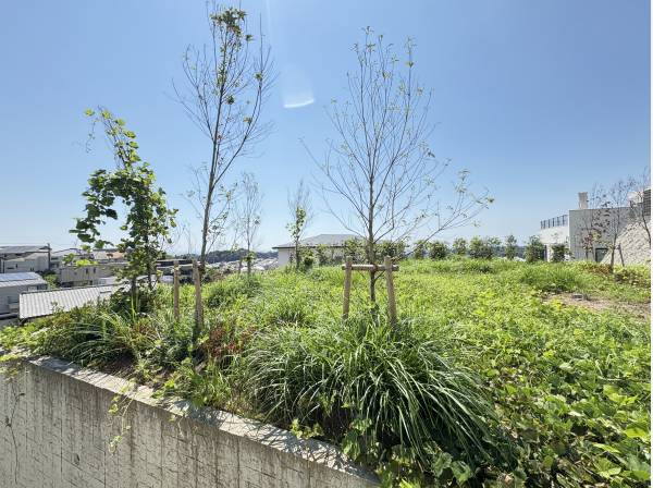約100坪の広々とした土地