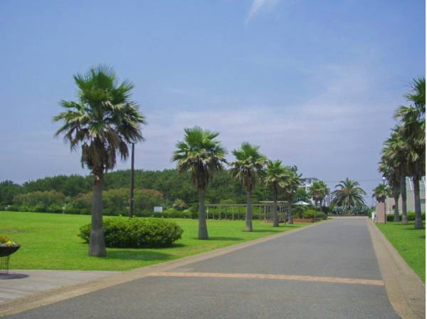 辻堂海浜公園まで徒歩10分（約800m）