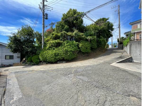 道路側より撮影。植栽により道路側からの視線も気にならなくすることも