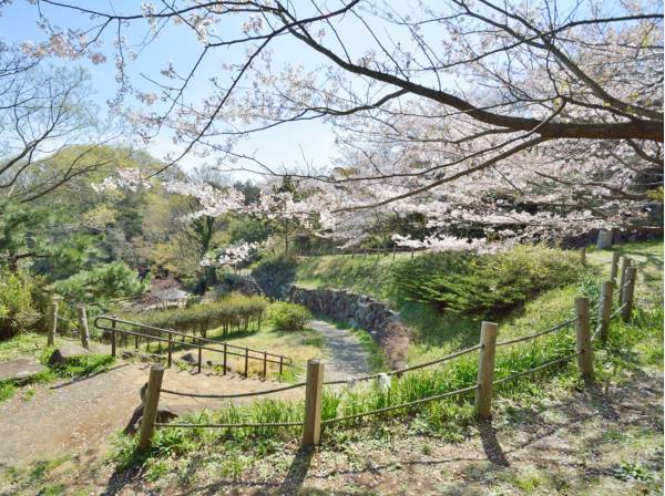 鎌倉中央公園まで徒歩4分（約300ｍ）