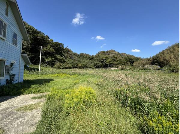 参った…。どこから撮っても広いです…。