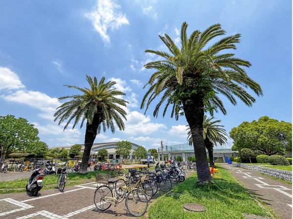 藤沢市立八部公園まで徒歩9分（約650m）