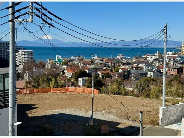 リビングからの眺め