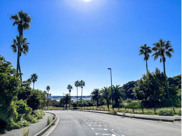 広い道路にはパームツリーやソテツをあしらった湘南リゾート。