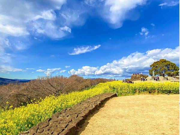 吾妻山公園まで徒歩13分（約1km）