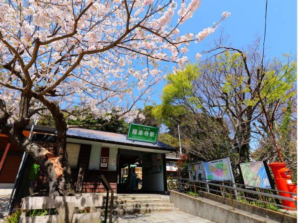 江ノ電「極楽寺」駅徒歩4分
