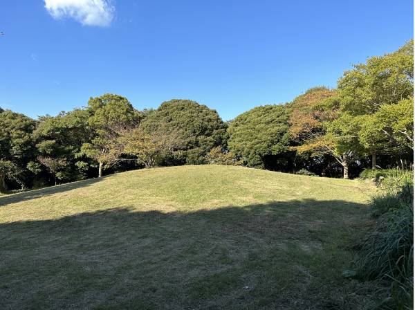 現地真裏には、浄明寺緑地芝生広場があります
徒歩１分（約８０ｍ）