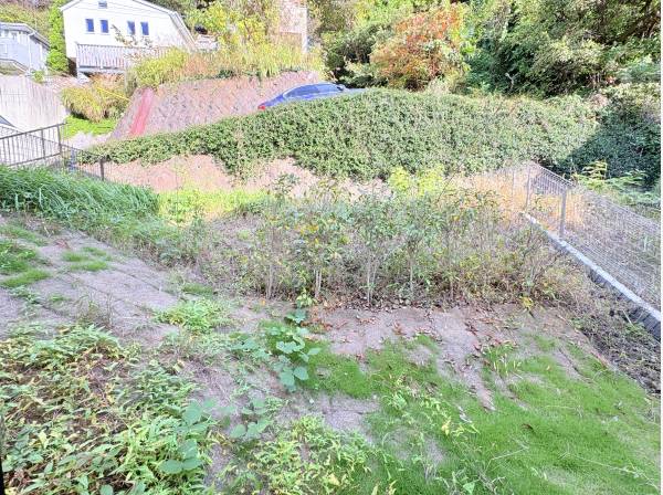 サニタリールームの勝手口から東向きのお庭へ