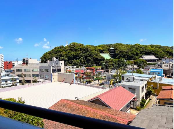江ノ電がコトコトと走る様子も見れます