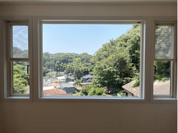 室内からの眺めです。鎌倉の美しい谷戸の景色です