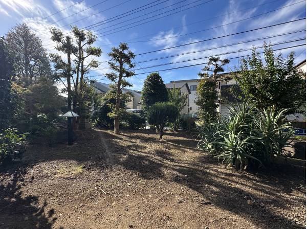 広々した日本庭園のようなお庭