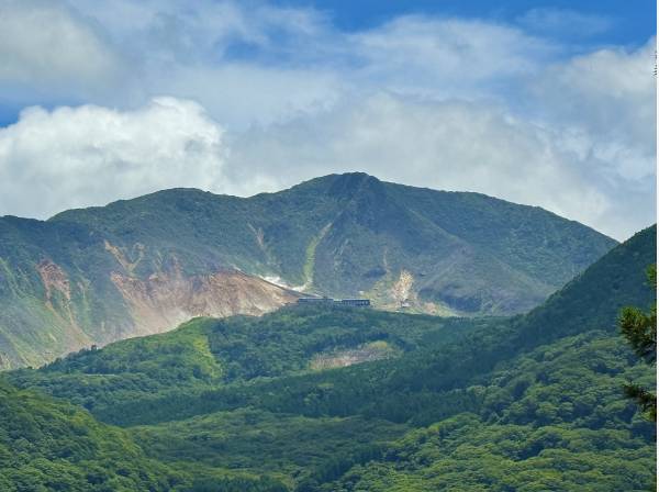大涌谷の湯気も見えました