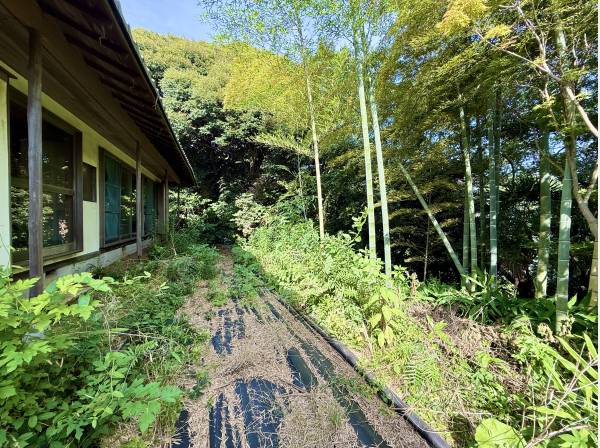 竹林が良い味を出しておりますね！