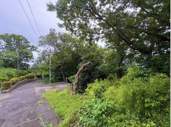 古家ございますが、更地渡しもご相談いただけます！