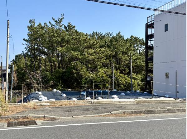 現地は更地です。建築条件はありません。